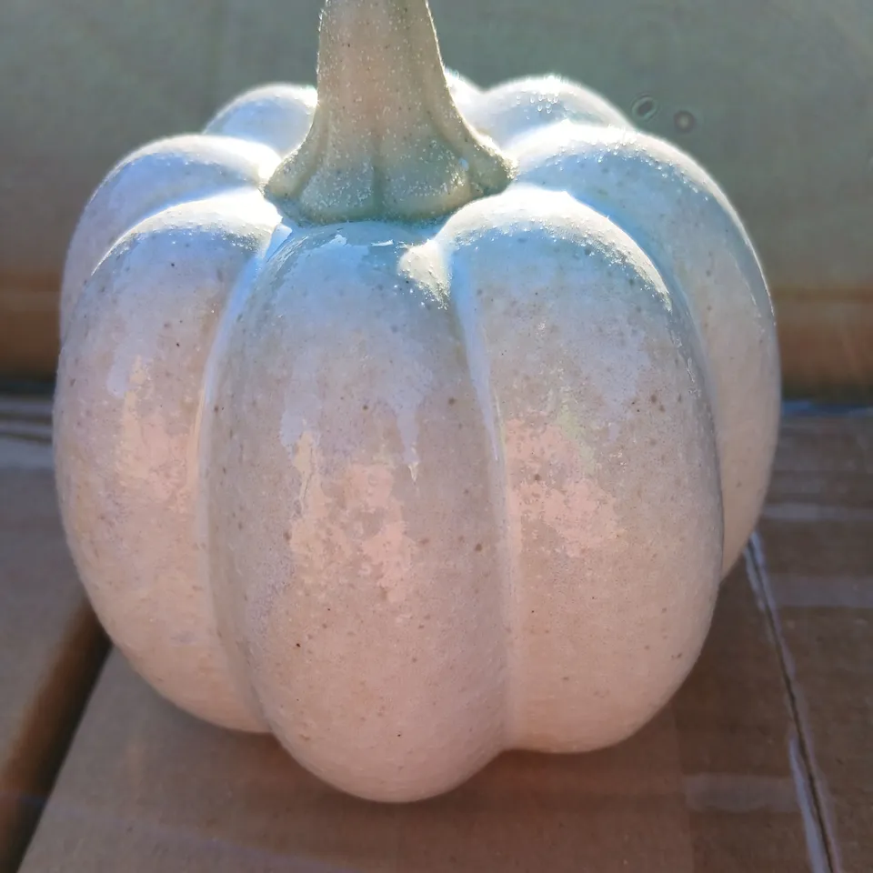 APPROXIMATELY 36 BRAND NEW GISELA GRAHAM LONDON CREAM CERAMIC PUMPKIN ORNAMENT