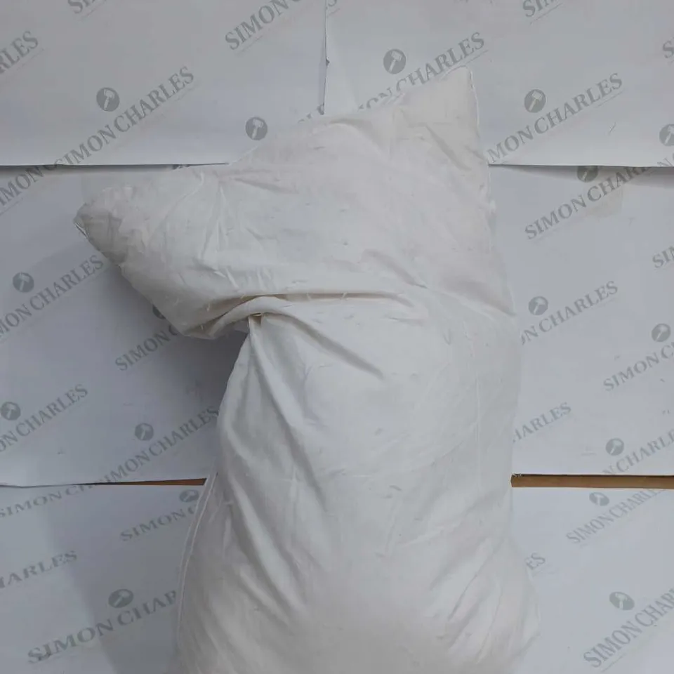 NORTHERN NIGHTS SET OF 2 PUR FEATHER PILLOWS