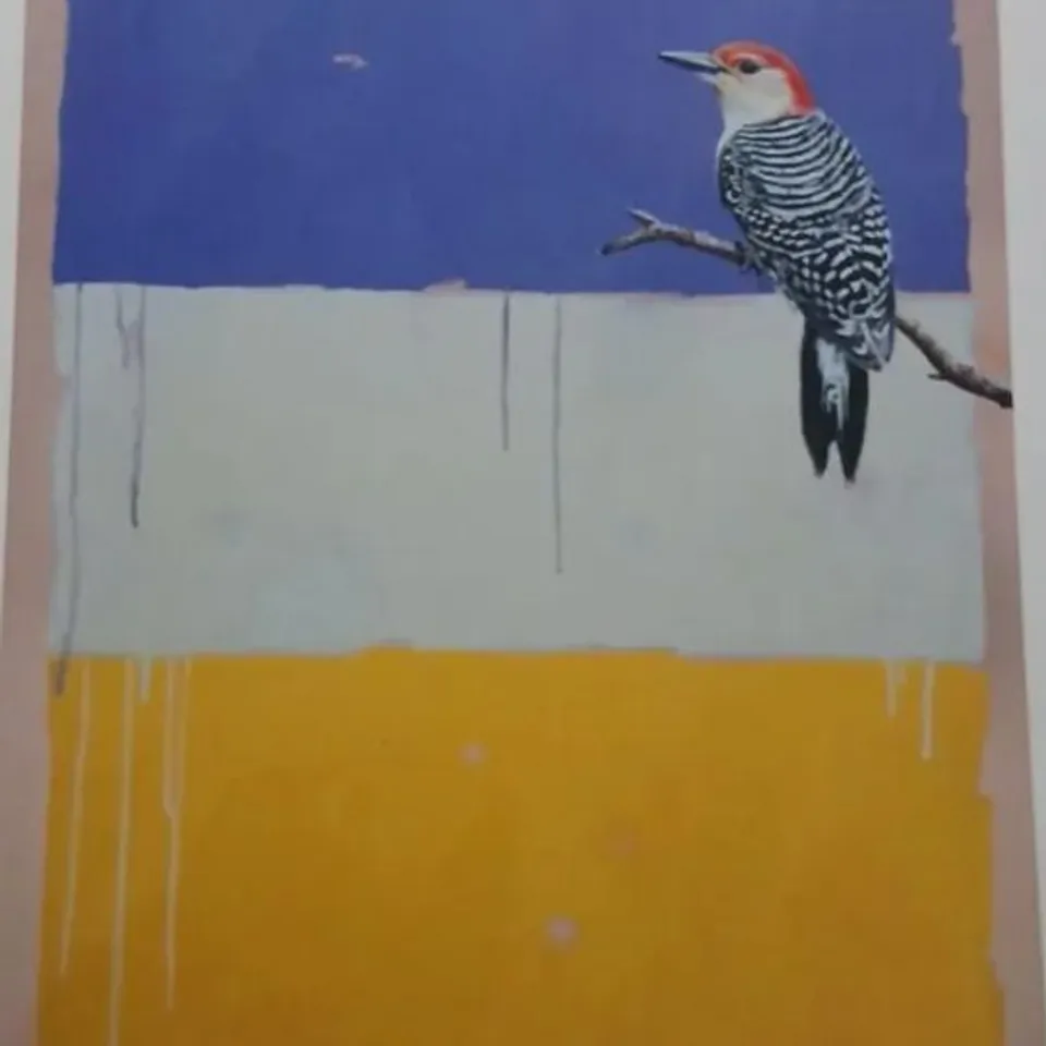 BIRD ON BRANCH – LIMITED EDITION PRINT 6/100 SIGNED BY ARTIST DANIEL QUIRKE