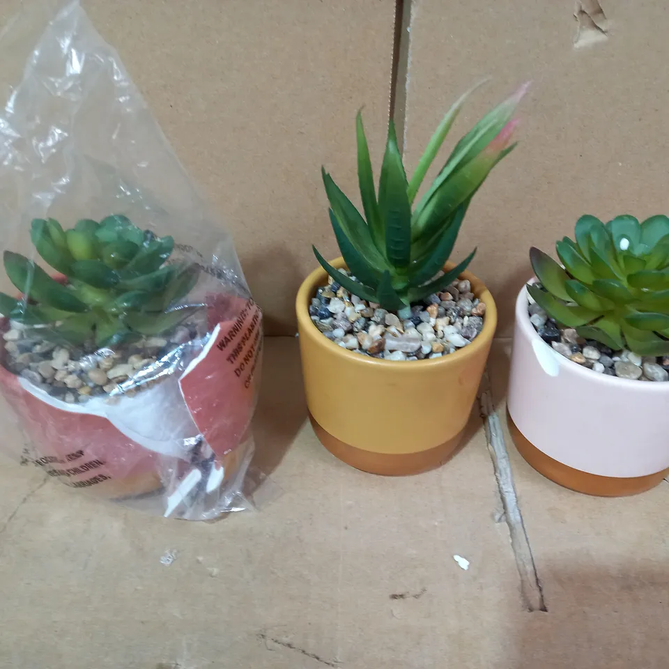 BUNDLEBERRY BY AMANDA HOLDEN SET OF CERAMIC POTS WITH FAUX PLANT