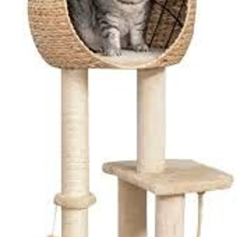 BOXED PAWHUT CAT TREE FOR INDOOR CATS 100CM KITTEN CLIMBING TOWER ACTIVITY CENTER