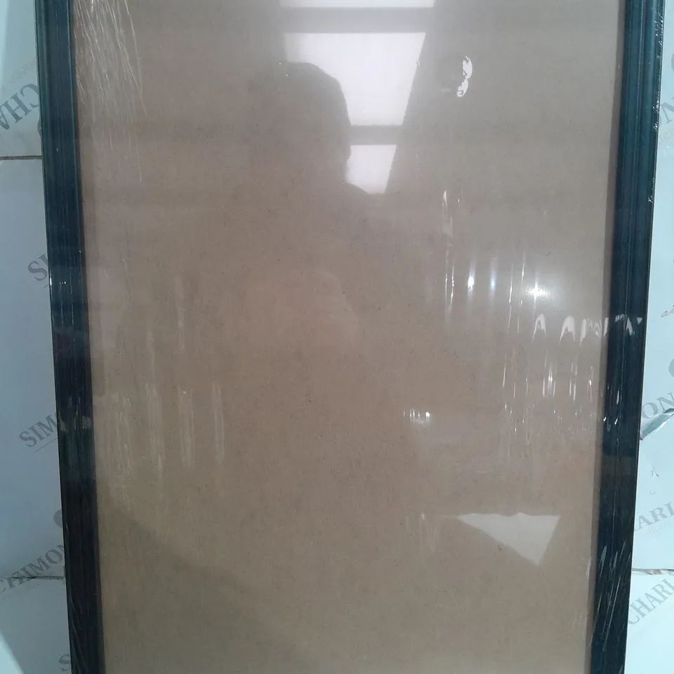 LACK PICTURE FRAME 65X45