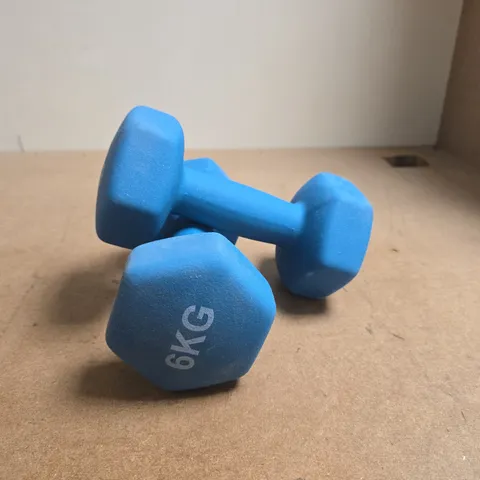 PAIR OF 6 KG BLUE HEX DUMBBELLS