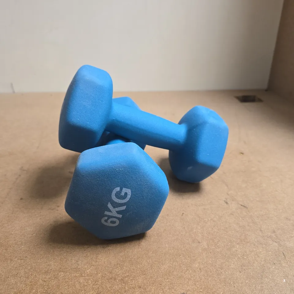 PAIR OF 6 KG BLUE HEX DUMBBELLS