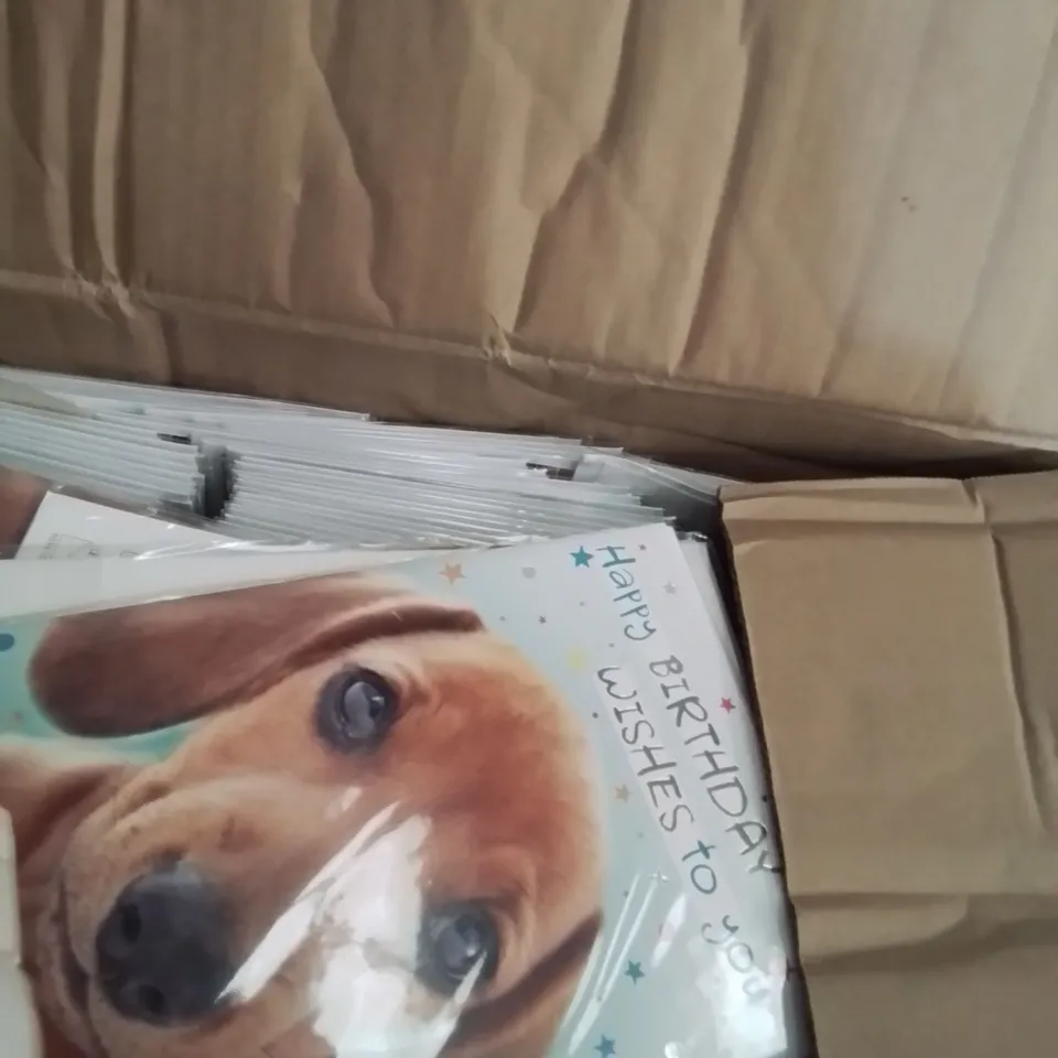 ASSORTED ITEMS INCLUDING, TOILET SEATS, CONCEALED CISTERN, BOX GREETING CARDS, DOWNLIGHTERS, WITE BASKETS, PC SPEAKERS,