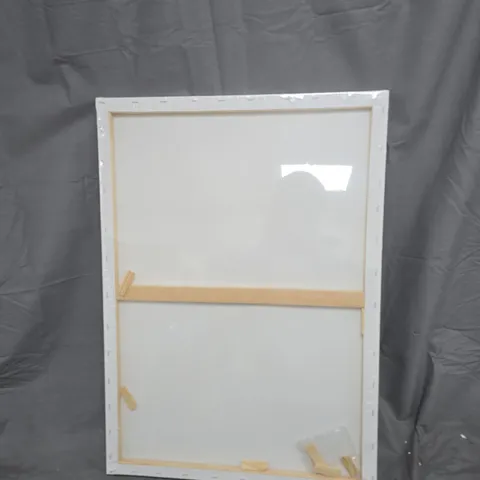 SET OF 2 PAINTING CANVAS'S