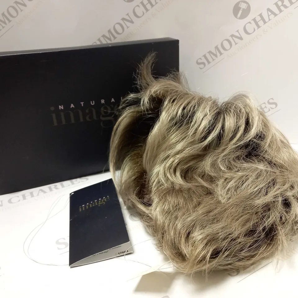 NATURAL IMAGE ABSOLUTELY AVERAGE PLATINUM MIST WIG 