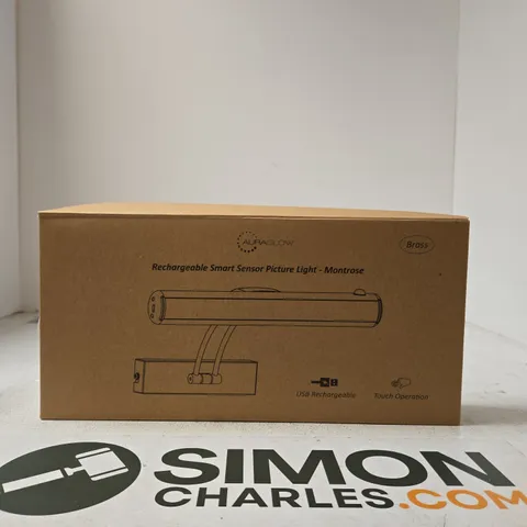 AURAGLOW RECHARGEABLE SMART SENSOR PICTURE LIGHT - MONTROSE, BRASS FINISH