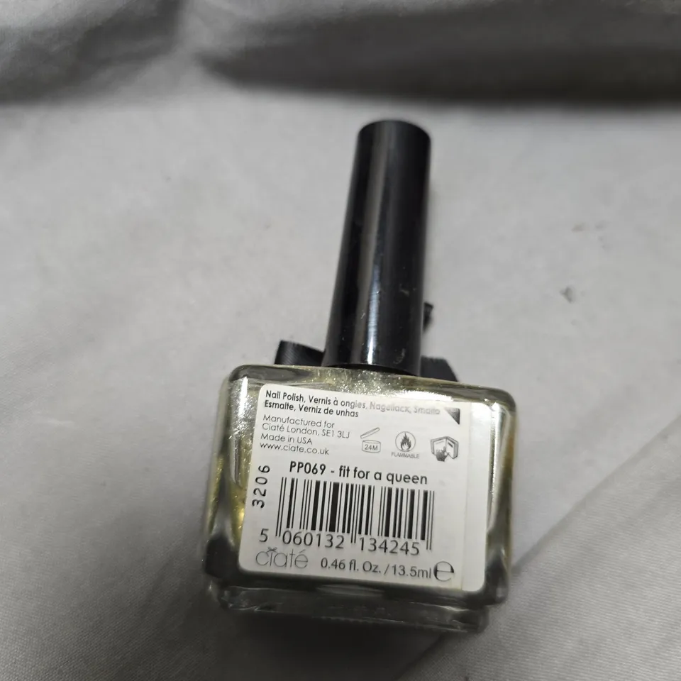CIATE PAINT POTS NAIL POLISH – FIT FOR A QUEEN (PP069) – 0.46 FL OZ / 13.5 ML – BOXED LOT