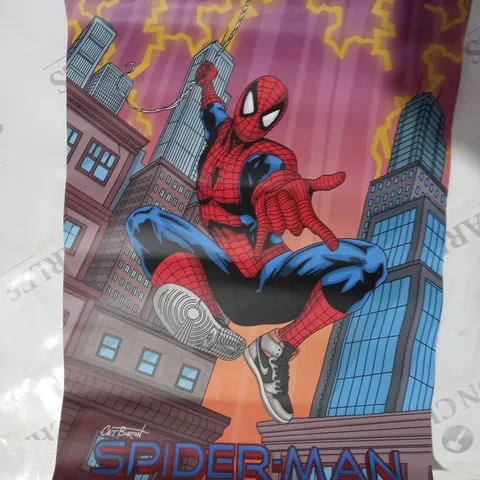 CAIT BURTON SPIDER-MAN NO WAY HOME ART PRINT