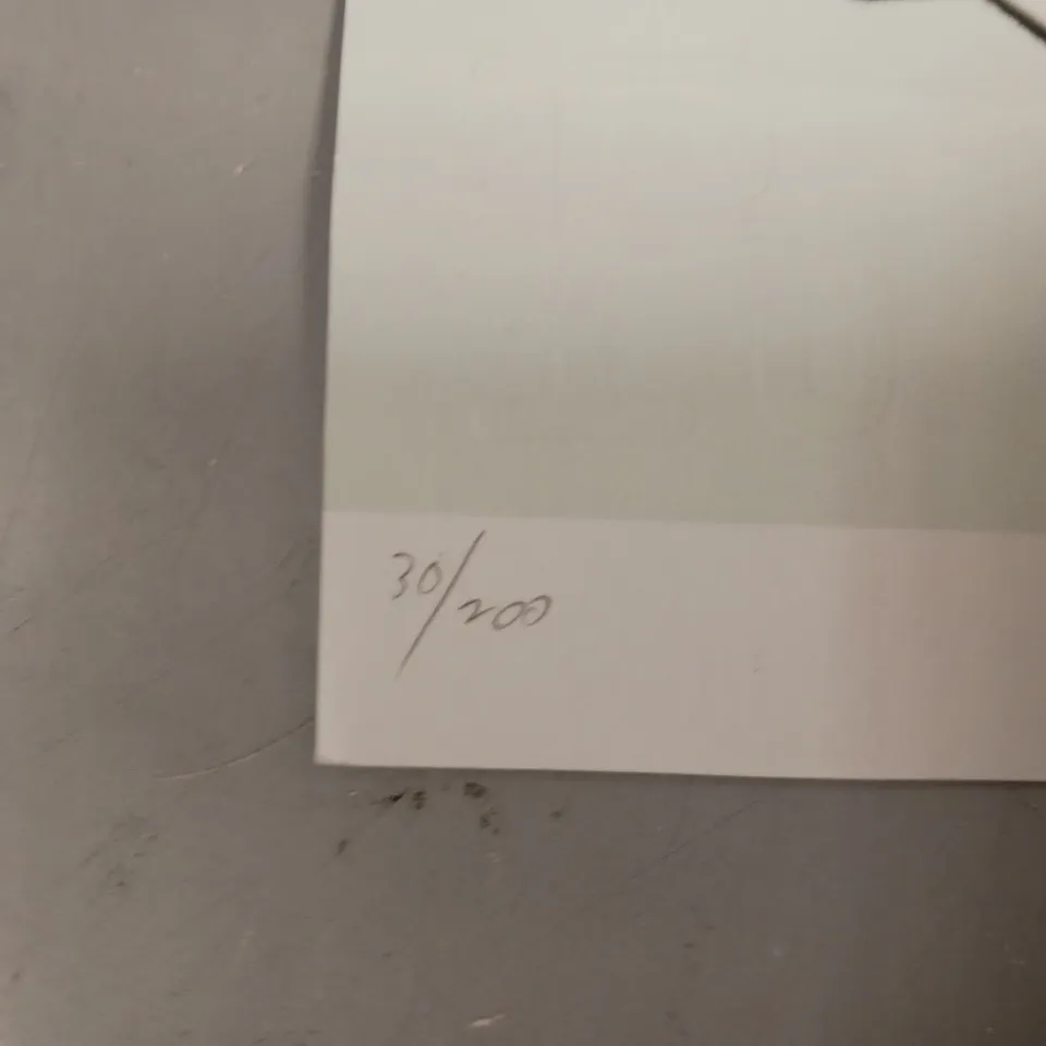 RUGMAN SIGNED LIMITED EDITION MAGPIE 'JOY' ART PRINT PAIR (30/200)