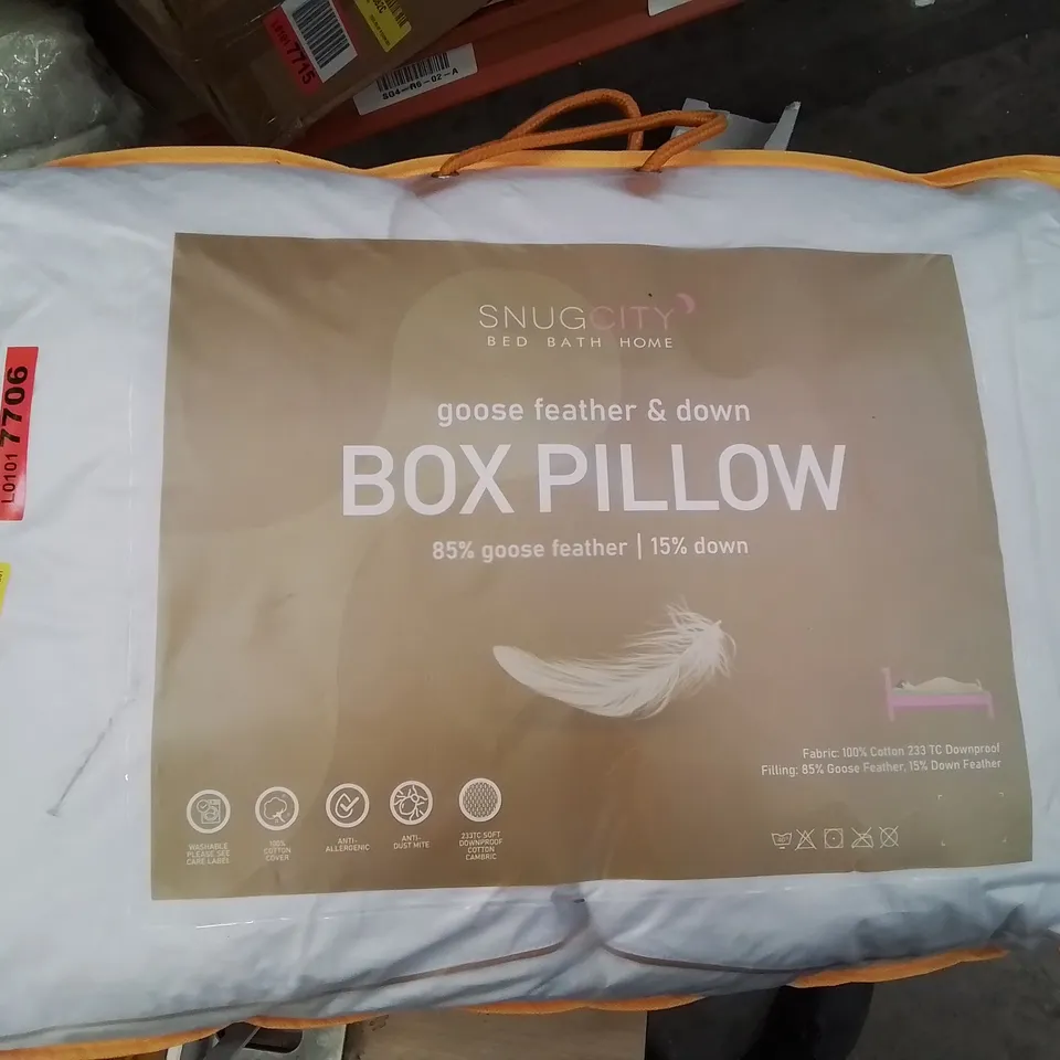 BAGGED SNUG CITY GOOSE FEATHER & DOWN BOX PILLOW (1 ITEM)