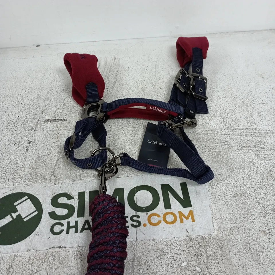 LEMIEUX VOGUE HEADCOLLAR & LEADROPE – BURGUNDY, COB