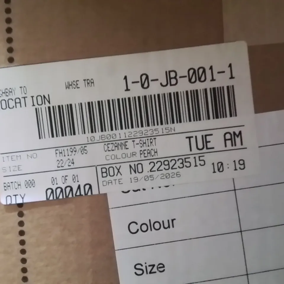 BOXED BRAND NEW APPROXIMATELY 40 OPOH LONDON CEZANNE T-SHIRT SIZE 22/24 PEACH