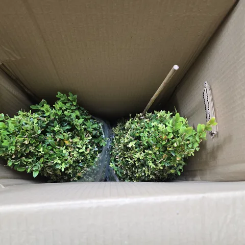 PAIR OF BOX TOPIARY PYRAMIDS 45-50CM TALL