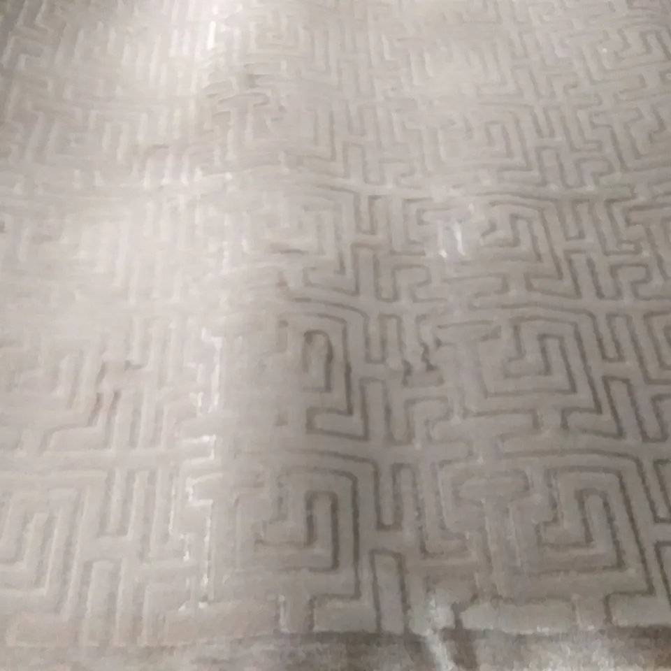 FIJI POLYPROPYLENE LATTE RUG 80X150CM