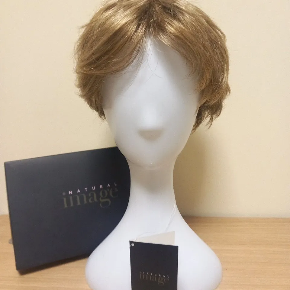 BOXED NATURAL IMAGE ABSOLUTELY ALMOND MIST WIG