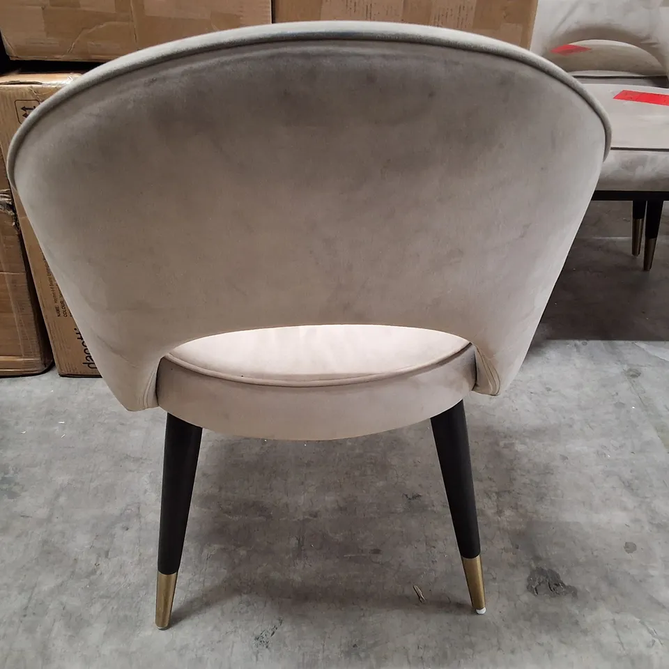 CLOVER CHAMPAGNE VELVET & BRUSHED BRASS DINING ARMCHAIRS (SET OF 5)