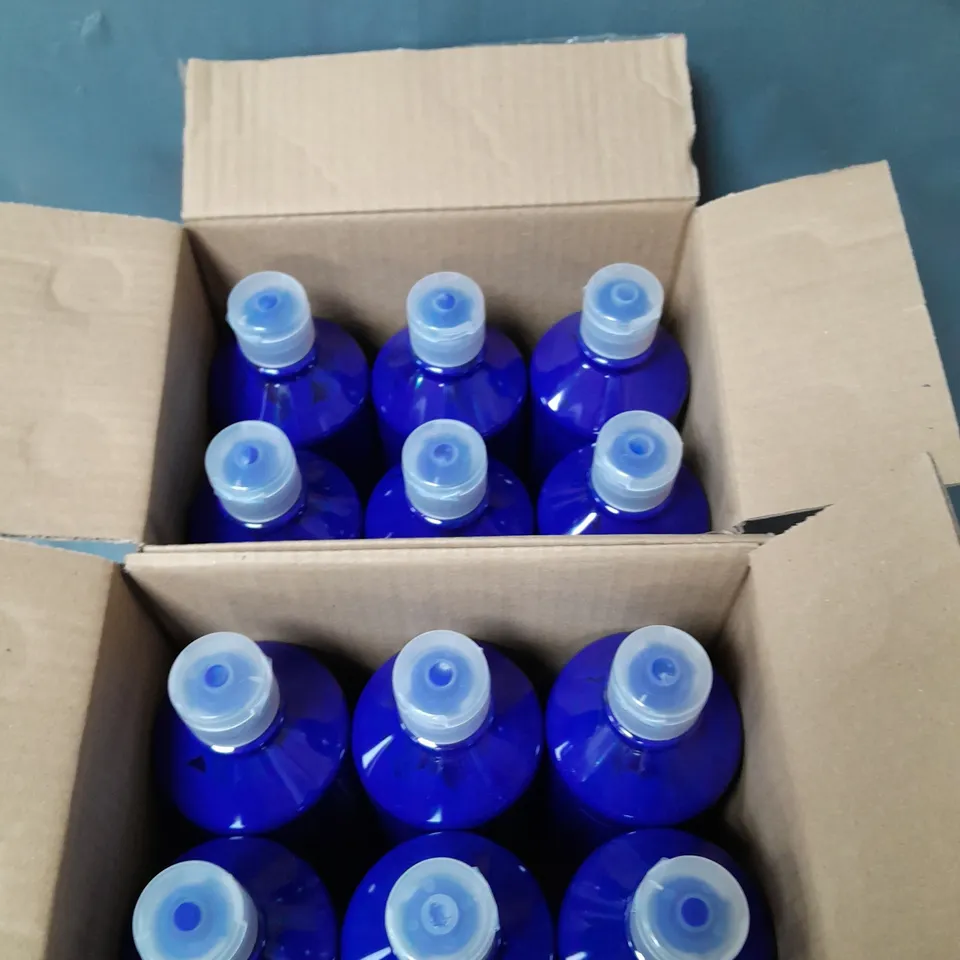 LOT OF 12 BOTTLES OF READY MIXED PAINT - BLUE - 600ML PER BOTTLE