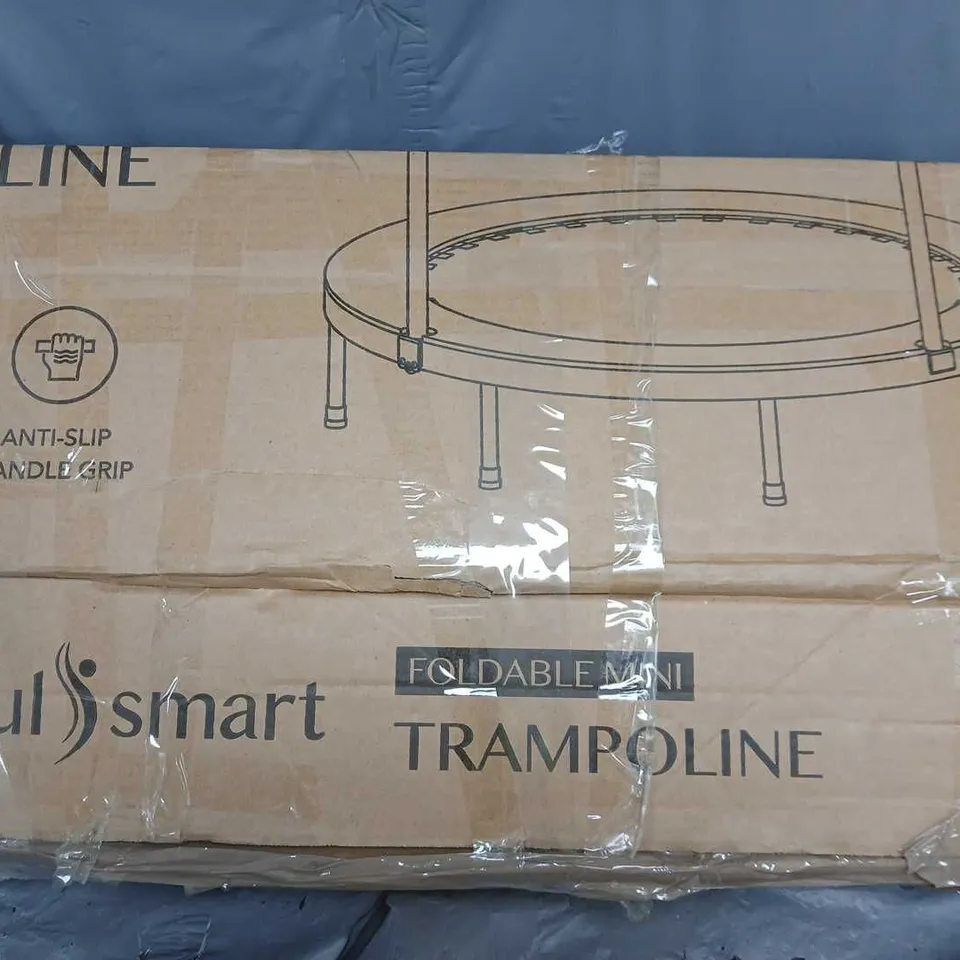 TRAMPOLINE - COLLECTION ONLY 