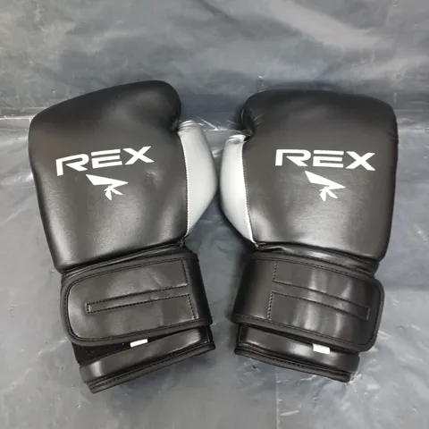 REX BOXING GLOVES PAIR - 10OZ