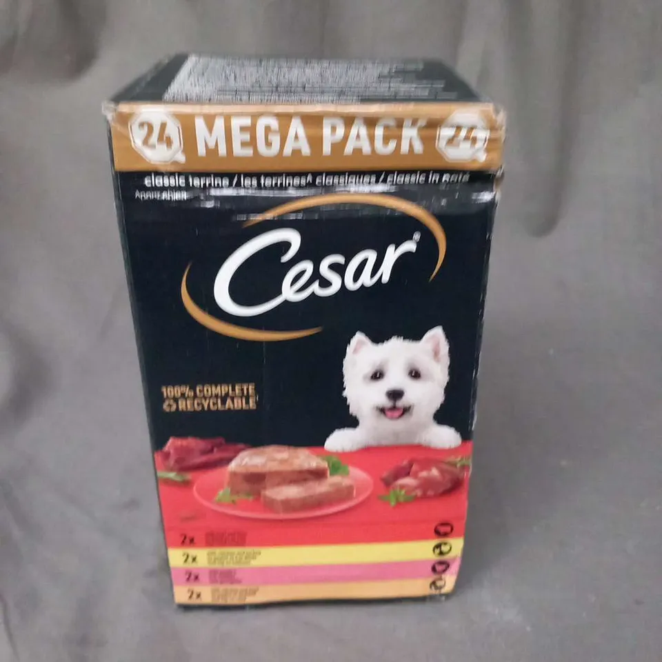 THREE BOXES OF CESAR 24 MEGA PACKS