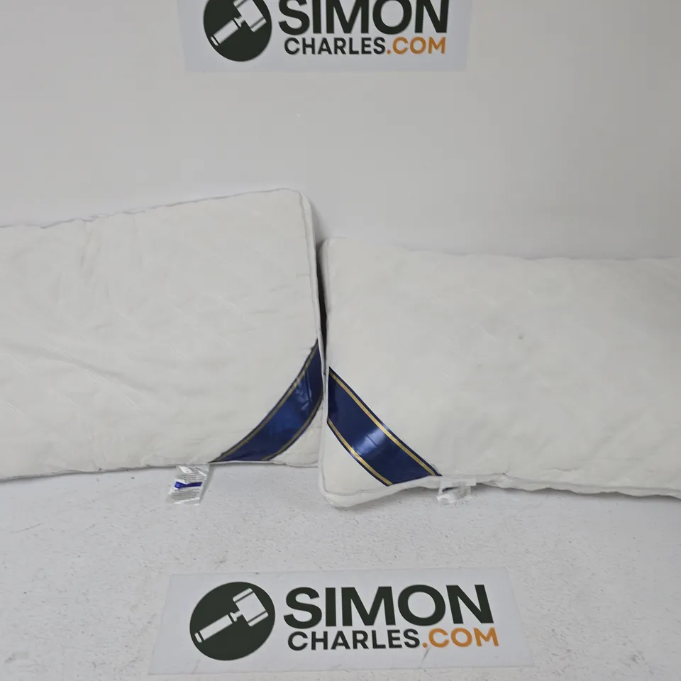 2X HOTEL STYLE PILLOWS