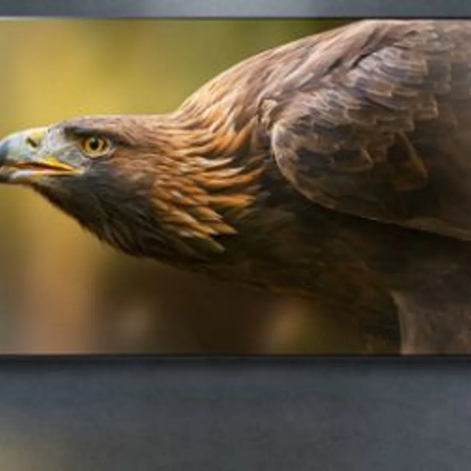 LG OLED55G45LW  55 INCH OLED 4K ULTRA HD HDR SMART TV FREEVIEW PLAY