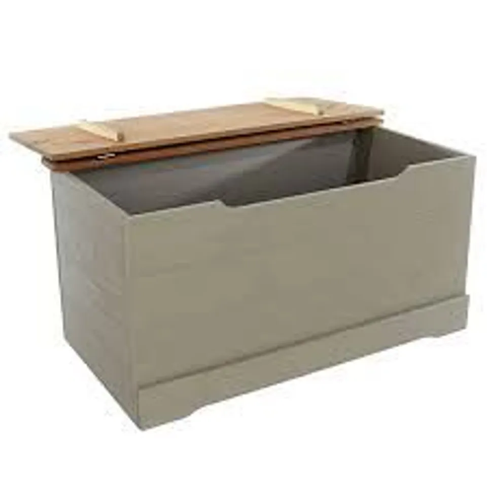 BOXED CORONA STORAGE TRUNK - GREY (1 BOX)