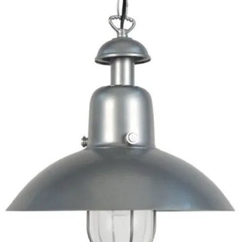 BOXED TOSEL DOTTEREL CEILING 1-LIGHT DOME INDOOR METAL PENDANT, SILVER