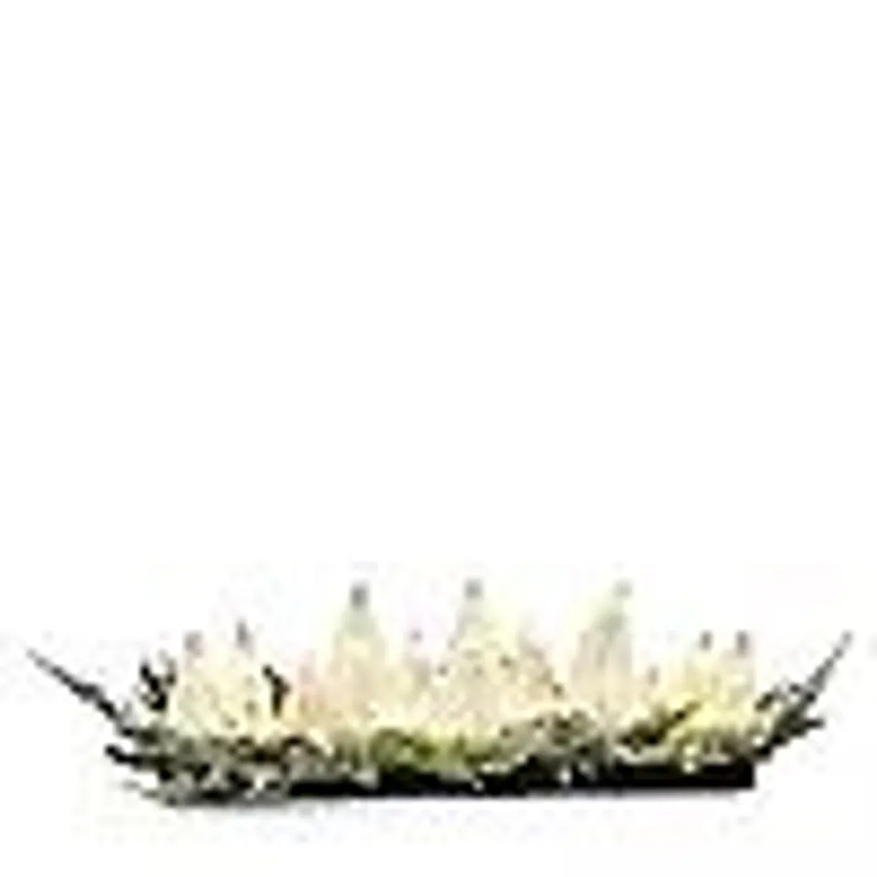 home stories bottle brush tree