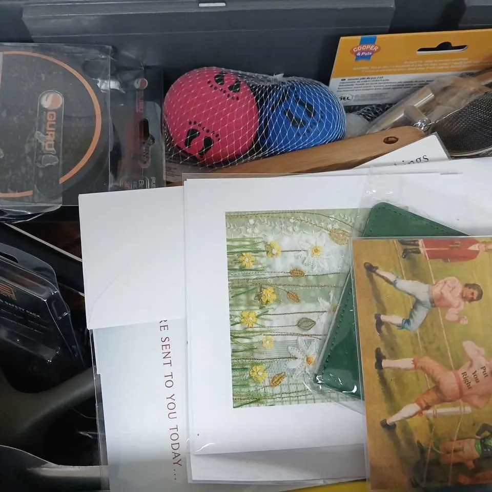 APPROXIMATELY 15 ASSORTED HOUSEHOLD ITEMS TO INCLUDE THROW & FETCH BALL, GURU PULSELINE, DINNER FORKS, ETC