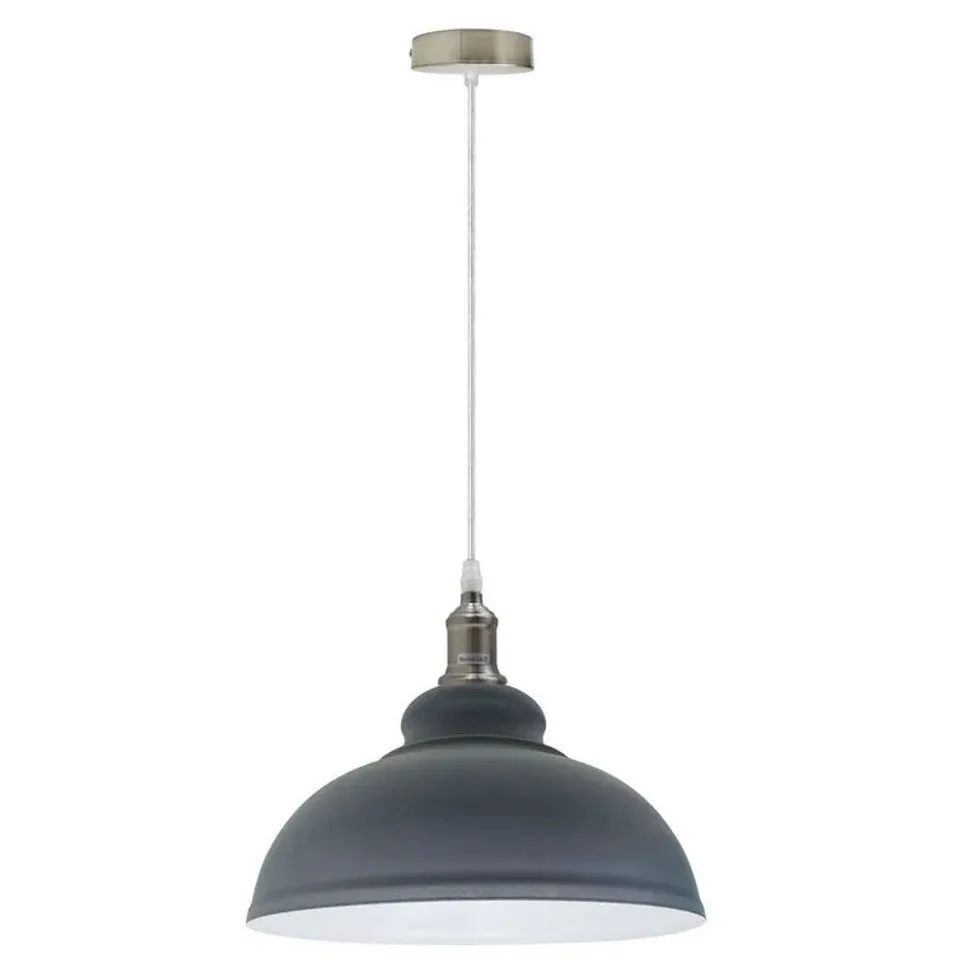 BOXED LEAVENS 1-LIGHT DOME PENDANT (1 BOX)
