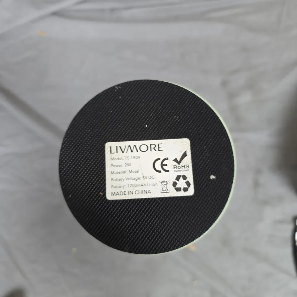 LIVMORE TS-1509 LED TABLE LAMP – MINT GREEN