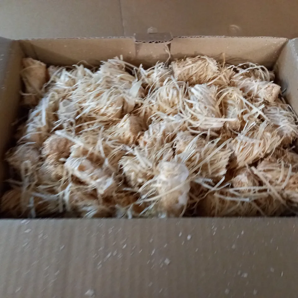 ECOBLAZE 200-PACK OF ODOURLESS FIRELIGHTERS