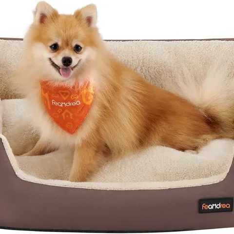 BOXED FEANDREA DOG BED, DOG SOFA BED WITH REMOVABLE REVERSIBLE CUSHION