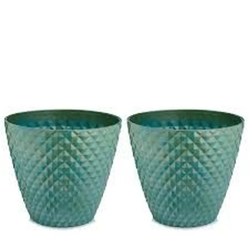 GRUMPY GARDENER PEARLISED PLANT