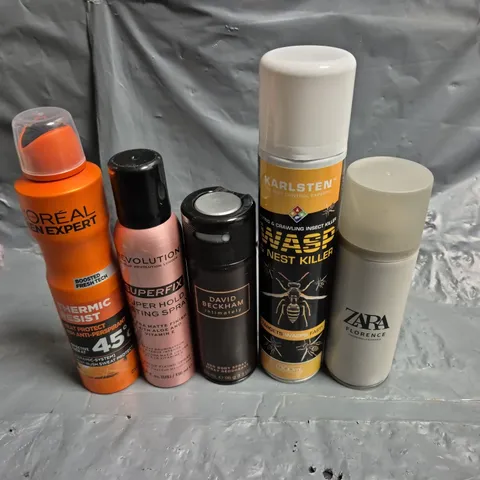 APPROXIMATELY 10 ASSORTED AEROSOLS TO INCLUDE DAVID BECKHAM, L'OREAL EXPERT AND WASP KILLER