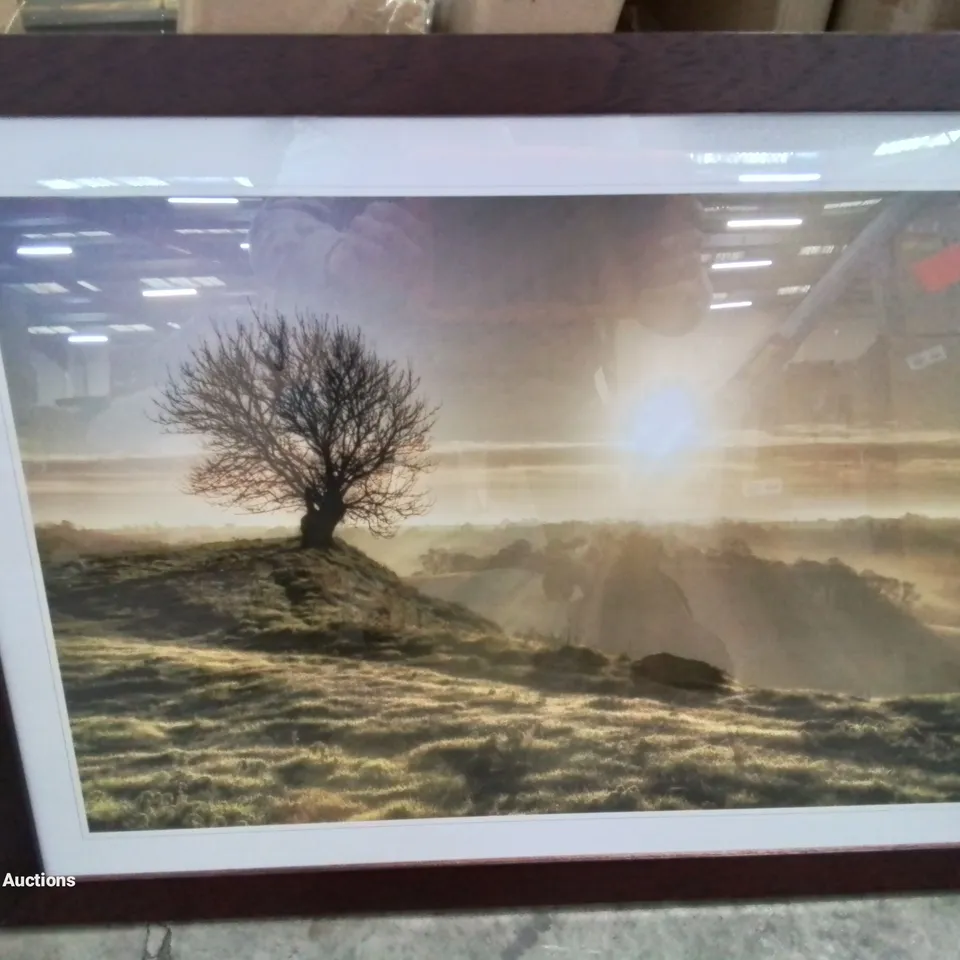 A BOXED SINGLE PICTURE FRAMED ART PRINT