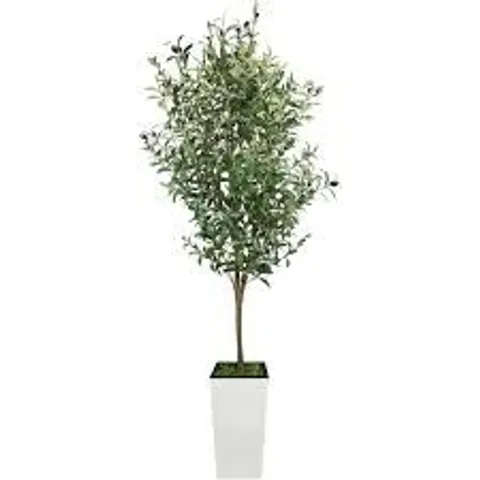 BOXED FAUX 180cm OLIVE TREE IN WHITE POT (1 BOX)