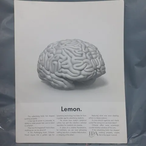 LEMON BY ORLANDO WOOOD