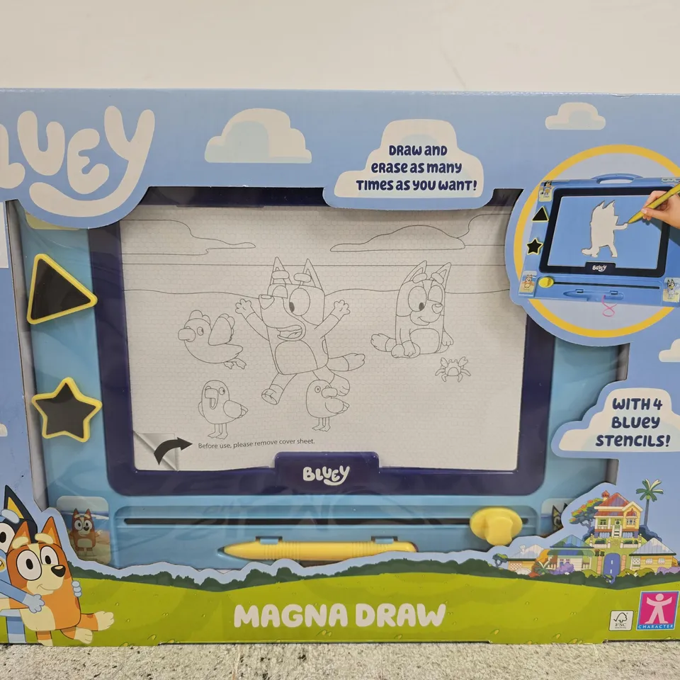 BOXED BLUEY MAGNA DRAW 