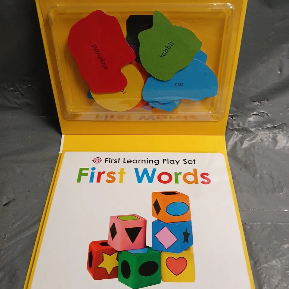 FIRST WORDS PLAY SET