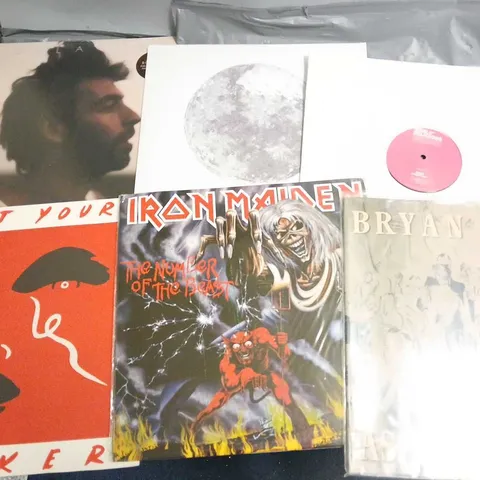 LOT OF 12 ASSORTED VINYLS TO INCLUDE IRON MAIDEN, BRYAN FERRY AND MEET YOUR MAKER