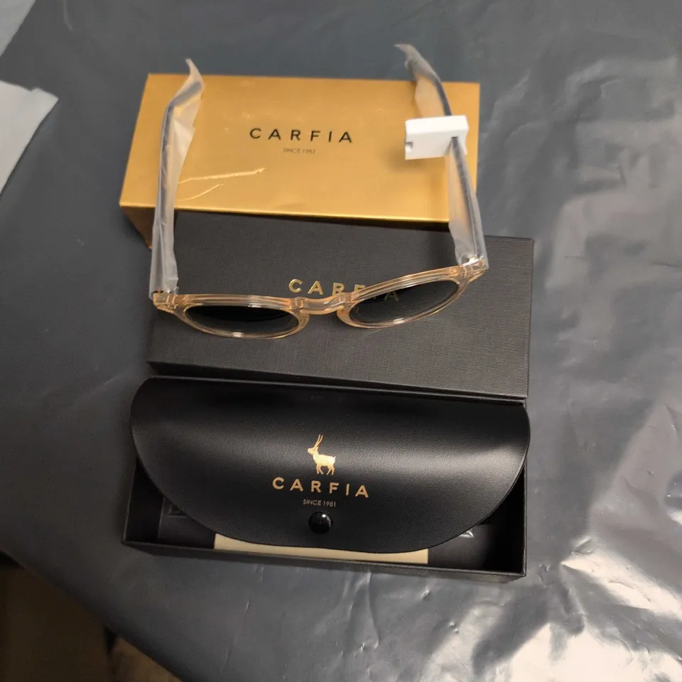 Carfia Men's Sunglasses – Acetate Frame, Model CA5289