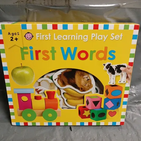 FIRST WORDS PLAY SET