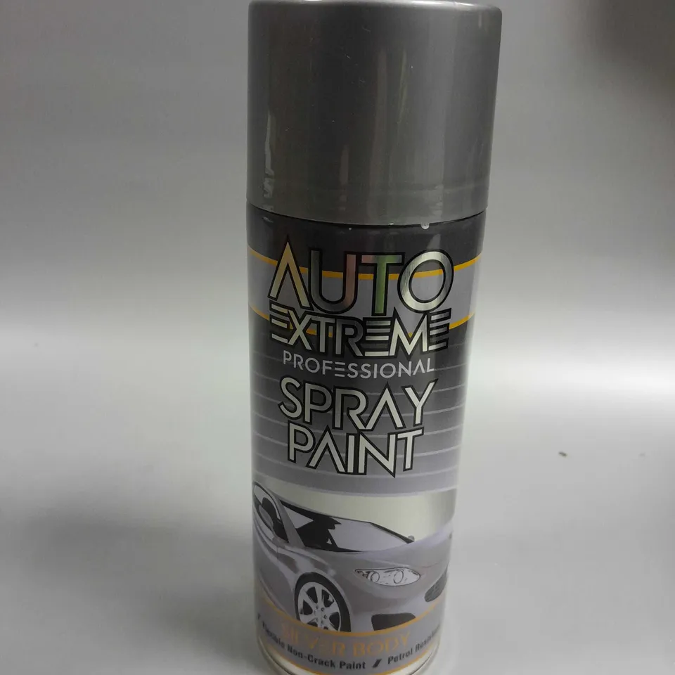 12 X AUTO EXTREME PROFESSIONAL SPRAY PAINT - SILVER BODY