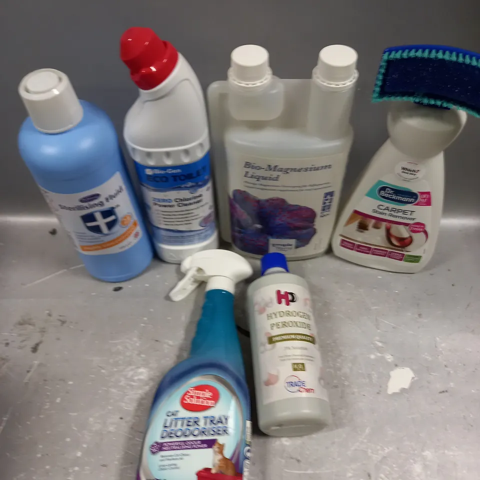 APPROXIMATELY 10 ASSORTED CLEANING SUPPLIES TO INCLUDE CARPET STAIN REMOVER, TOILET CLEANER, STERILISING FLUID ETC - COLLECTION ONLY 