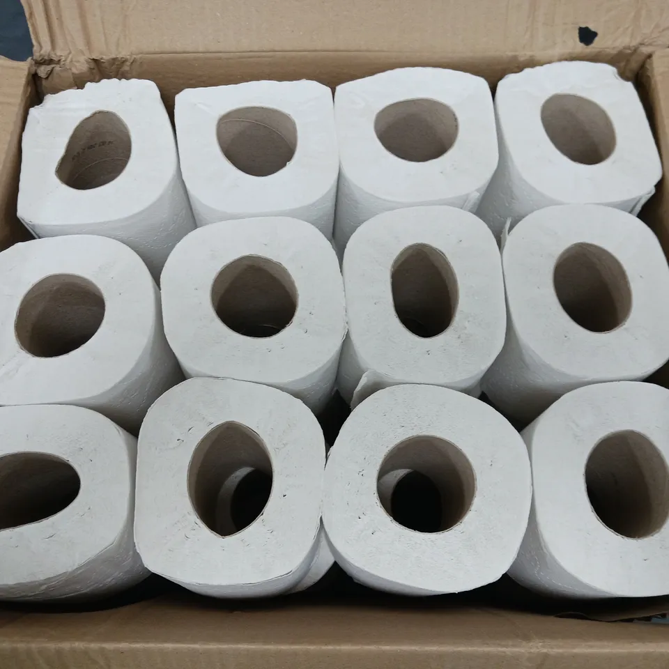 SERIOUS TISSUES SET OF 36 ECO LOO ROLLS