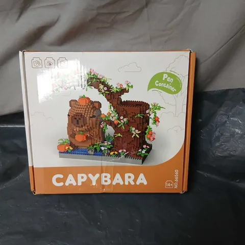 CAPYBARA BUILDING BRICK SET – BOXED 